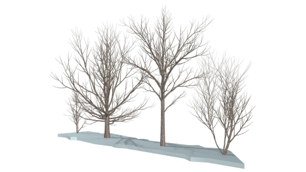 Bare trees Low-poly