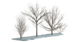 Bare trees Low-poly