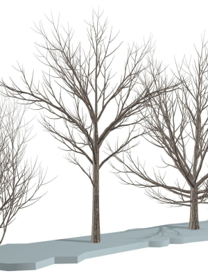 bare-trees-low-poly-3d-model-f7c9af3c53