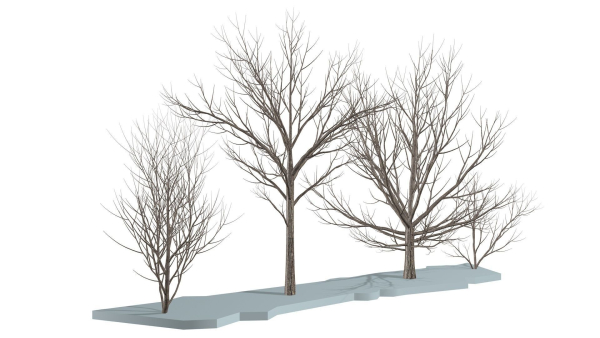 Bare trees Low-poly