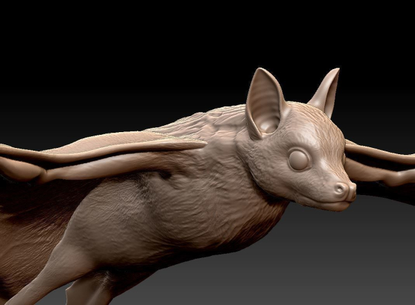 Bat flying fox