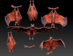 Bat flying fox