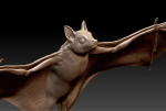 Bat flying fox