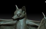 Bat flying fox