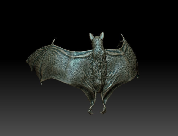 Bat flying fox