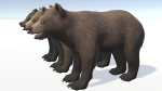 BEAR - CUB