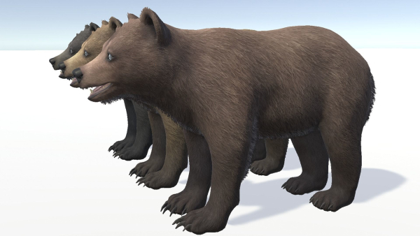 BEAR - CUB