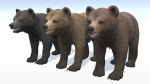 BEAR - CUB