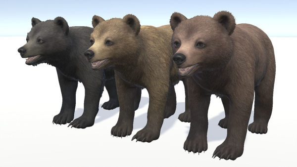 BEAR - CUB