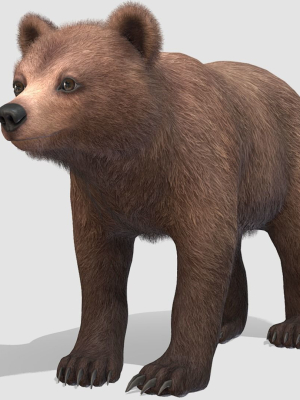 bear-cub-3d-model-988d2f6c36