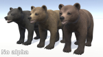 BEAR - CUB