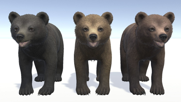 BEAR - CUB