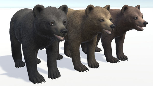 BEAR - CUB