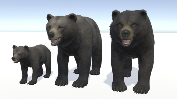 BEAR - FAMILY