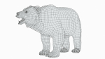 BEAR - FAMILY
