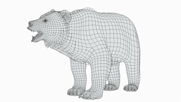 BEAR - FAMILY