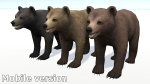 BEAR - FAMILY