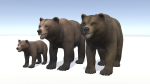 BEAR - FAMILY