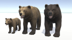 BEAR - FAMILY