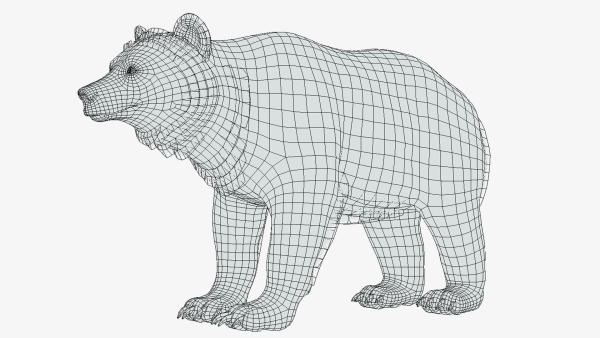 BEAR - FAMILY