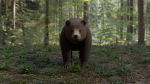 Bear LowPoly polar