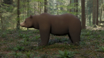 Bear LowPoly polar