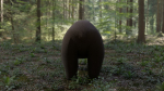 Bear LowPoly polar