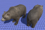 Bear Male 1