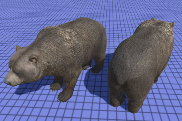 Bear Male 1