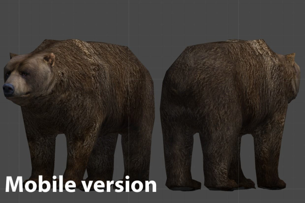 Bear Male 1