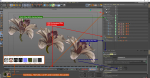Beautiful Animated Orchid Flower 3D model