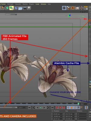 beautiful-animated-orchid-flower-3d-model-3d-model-animated-rigged-obj-fbx-c4d-abc