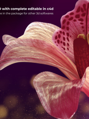 Beautiful Animated Orchid Flower 3D model