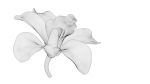 Beautiful Animated Orchid Flower 3D model