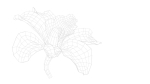 Beautiful Animated Orchid Flower 3D model