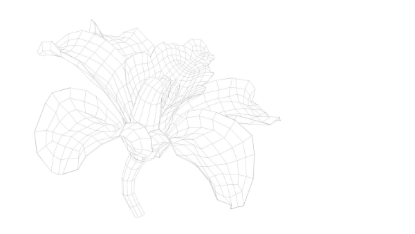Beautiful Animated Orchid Flower 3D model