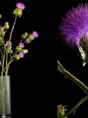 beautiful-bouquet-of-dried-thistle-thorn-flowers-in-a-glass-vase-3d-model-fbccf265e2