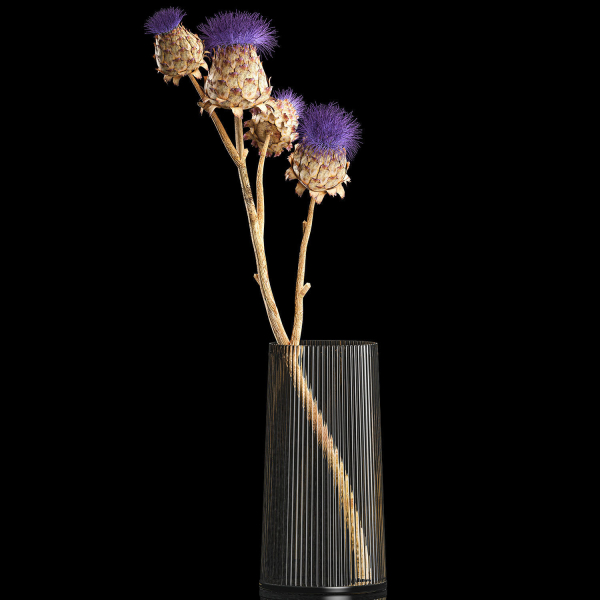 Beautiful bouquet of thistle dried flowers in a glass vase 290