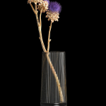Beautiful bouquet of thistle dried flowers in a glass vase 290