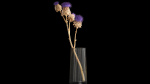 Beautiful bouquet of thistle dried flowers in a glass vase 290