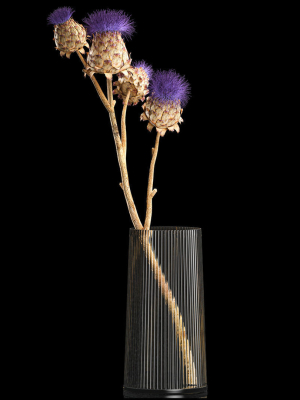 Beautiful bouquet of thistle dried flowers in a glass vase 290