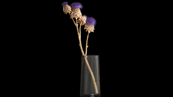 Beautiful bouquet of thistle dried flowers in a glass vase 290