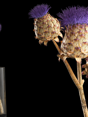 beautiful-bouquet-of-thistle-dried-flowers-in-a-glass-vase-290-3d-model-951fecfefa