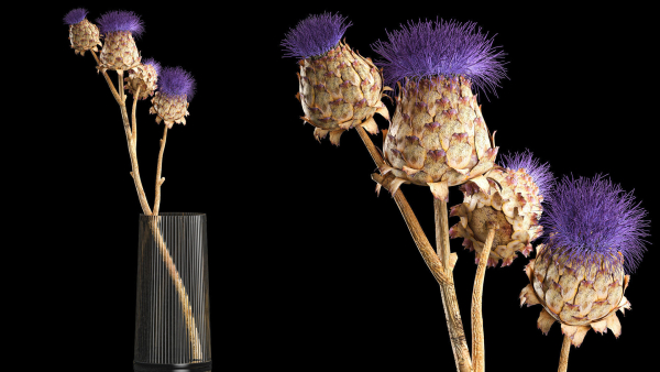 Beautiful bouquet of thistle dried flowers in a glass vase 290