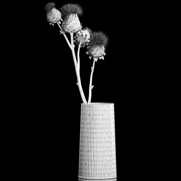 Beautiful bouquet of thistle dried flowers in a glass vase 290