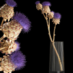 Beautiful bouquet of thistle dried flowers in a glass vase 290