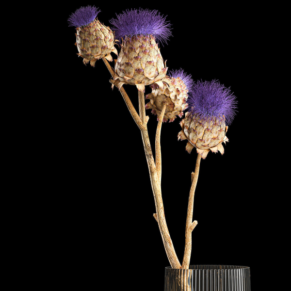 Beautiful bouquet of thistle dried flowers in a glass vase 290