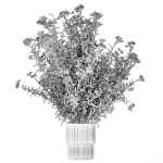 Beautiful bushes with white Nerium oleander flowers in pots