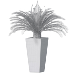 Beautiful decorative indoor evergreen Palm Tree Cicas  Art Deco