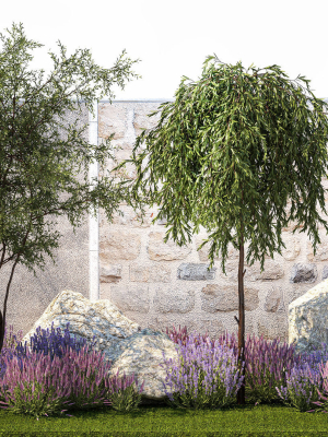 beautiful-garden-with-olive-elaeagnus-lavender-flowers-1372-3d-model-08b73c94f8
